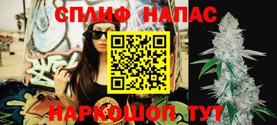 прущие крисы Можга