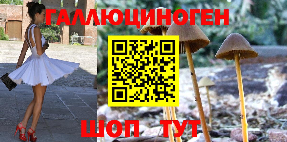 Удомля  Галлюциногенные грибы прущие грибы  Вход с VPN 