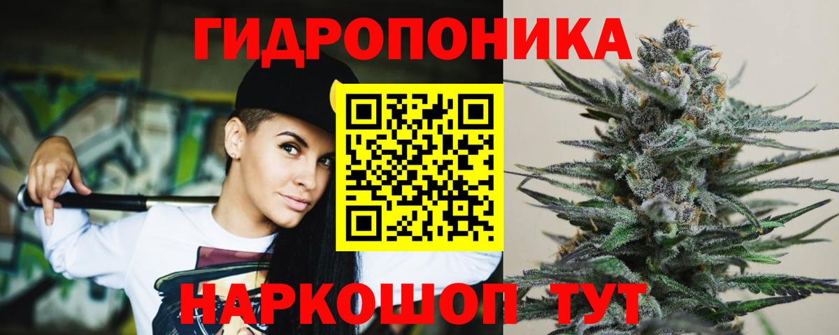 Марихуана ГИДРОПОН  Вход с VPN  Удомля  Бошки марихуана OG Kush  Марихуана OG Kush 